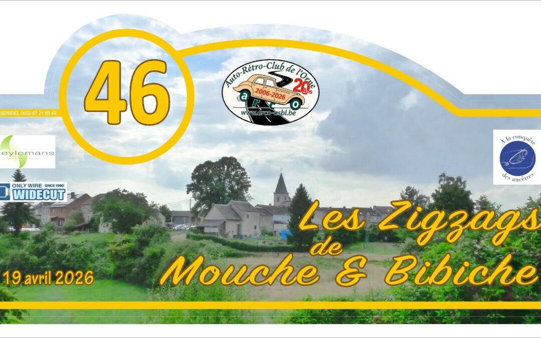 Les zigzags de mouche et bibiche